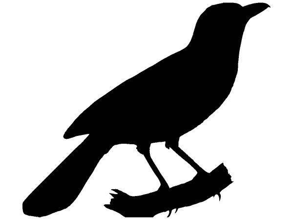 Животные 3843