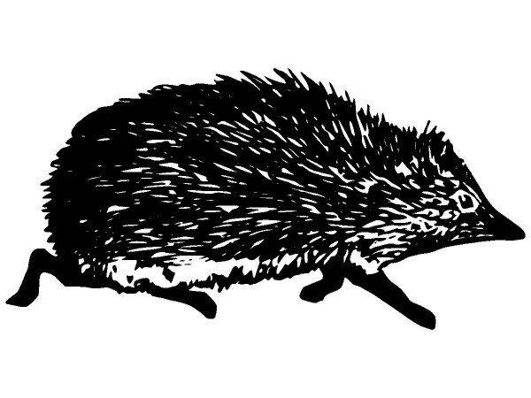 Животные 2877