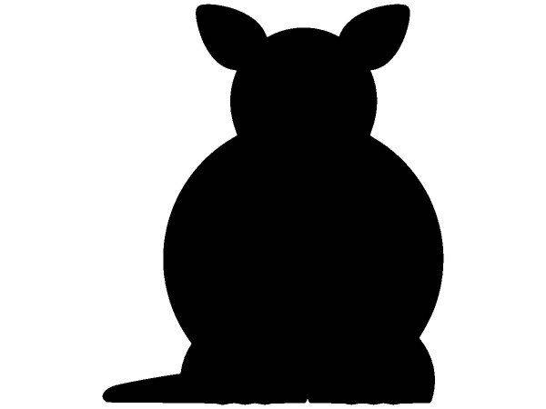 Животные 523