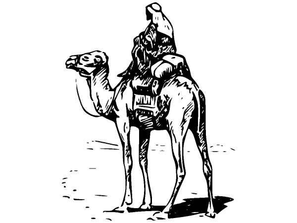 Животные 289