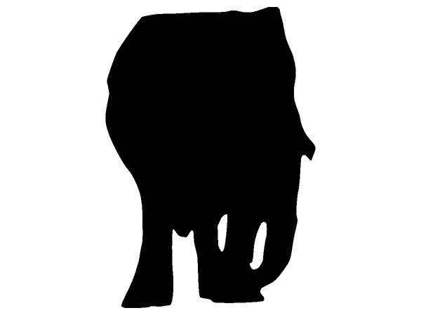 Животные 4272 Животные 4272