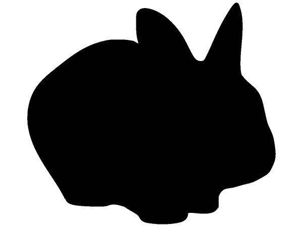 Животные 146