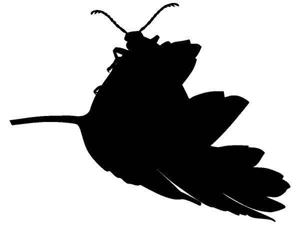 Животные 1214 Животные 1214