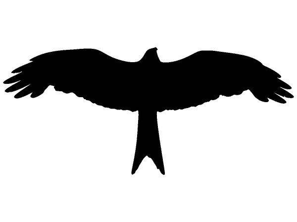 Животные 3415 Животные 3415