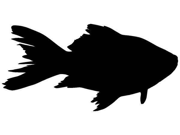 Животные 4208