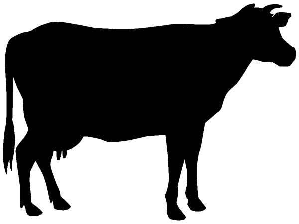 Животные 397