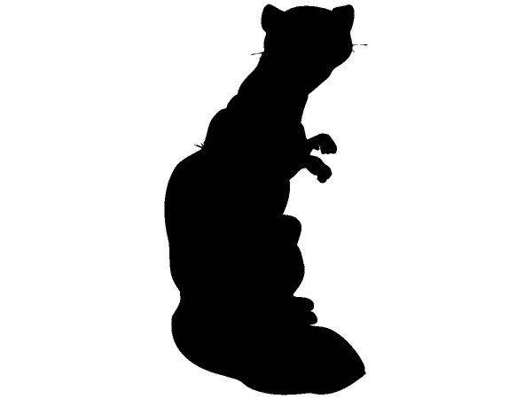 Животные 392 Животные 392