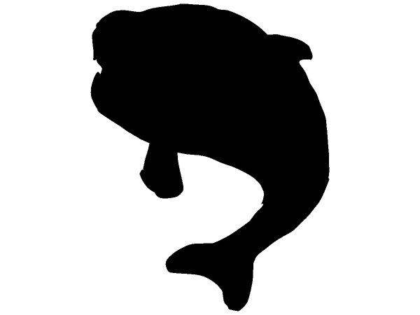 Животные 2942 Животные 2942