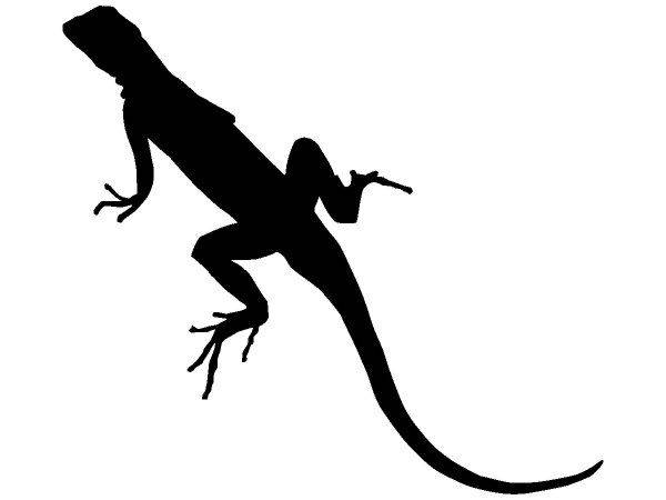 Животные 3 Животные 3