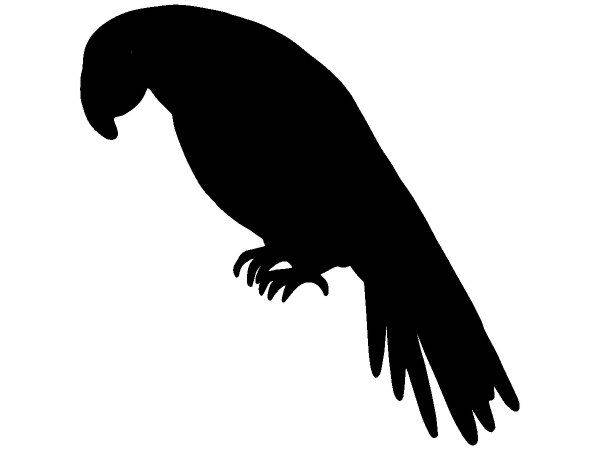 Животные 2167