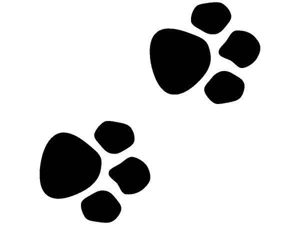 Животные 3090 Животные 3090