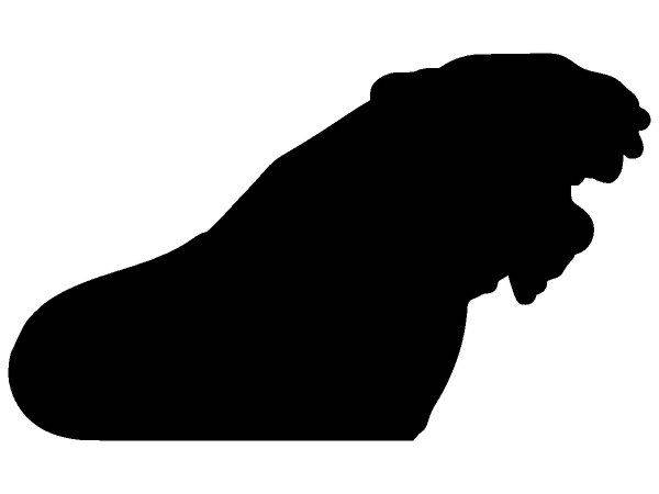 Животные 3105 Животные 3105