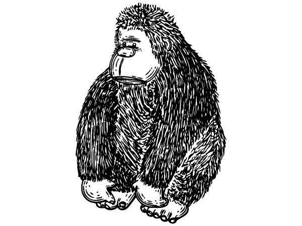 Животные 754 Животные 754