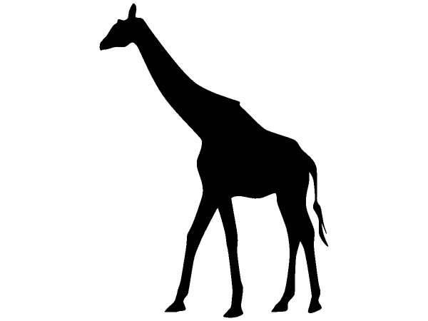 Животные 1247