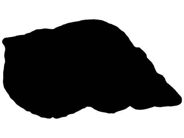 Животные 2252 Животные 2252