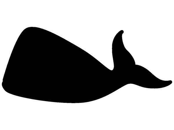 Животные 1658