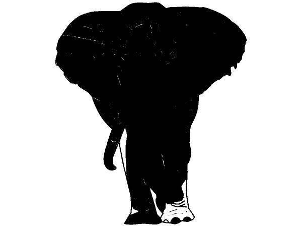 Животные 4320 Животные 4320