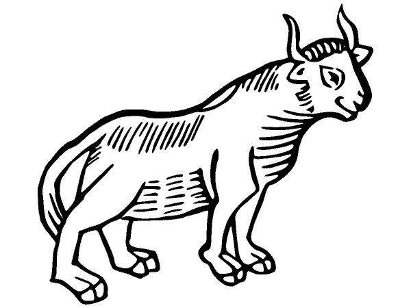 Животные 2925