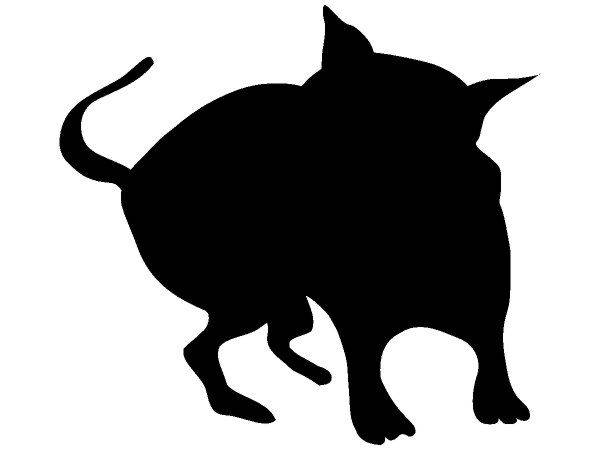 Животные 1270 Животные 1270