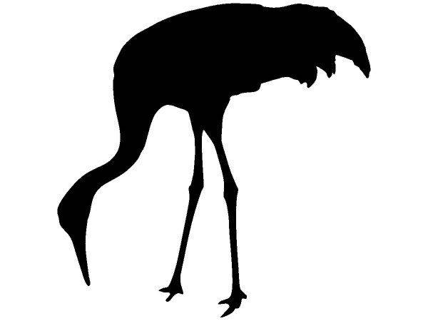 Животные 3466 Животные 3466