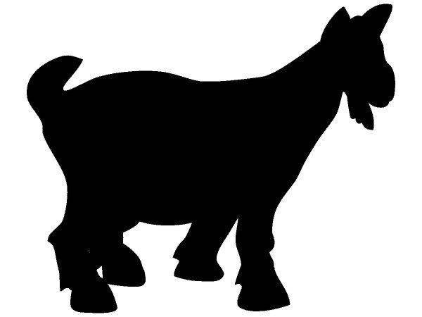 Животные 2516