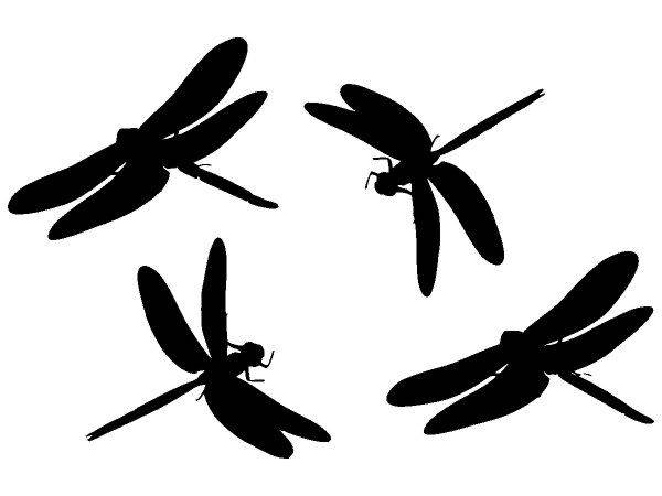 Животные 3092 Животные 3092