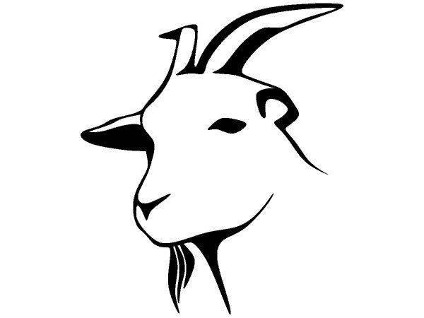 Животные 3695 Животные 3695