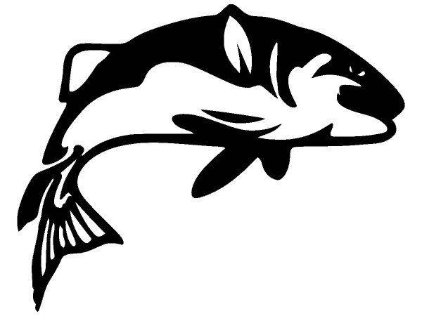 Животные 3677