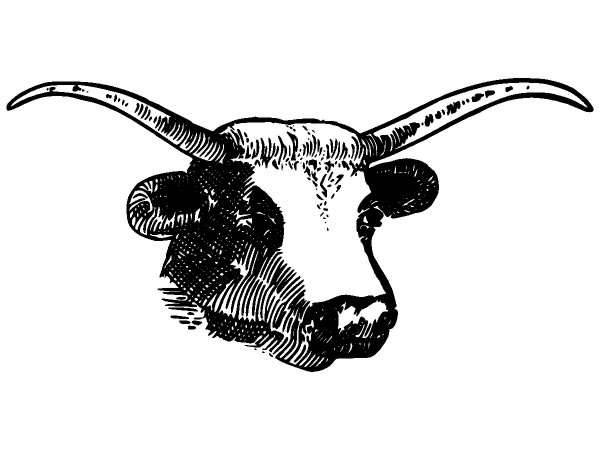 Животные 834