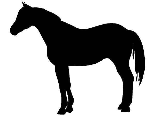 Животные 2365