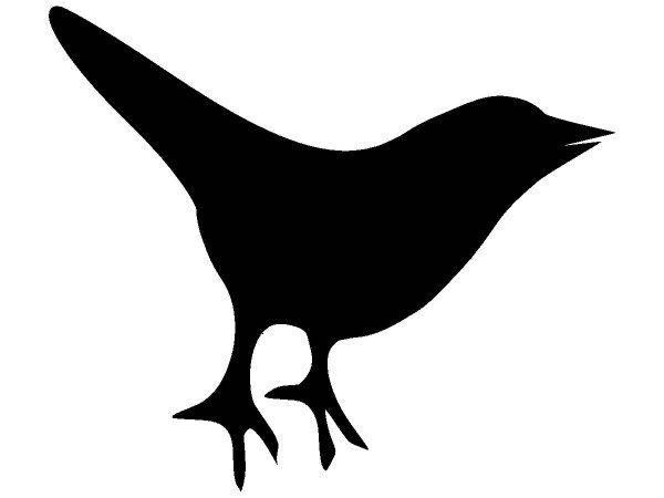 Животные 753 Животные 753