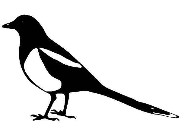 Животные 1281