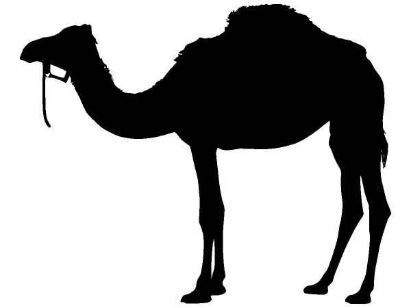 Животные 1341