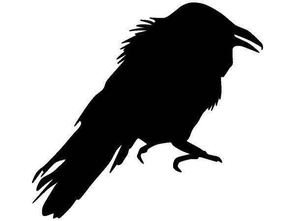 Животные 3703 Животные 3703