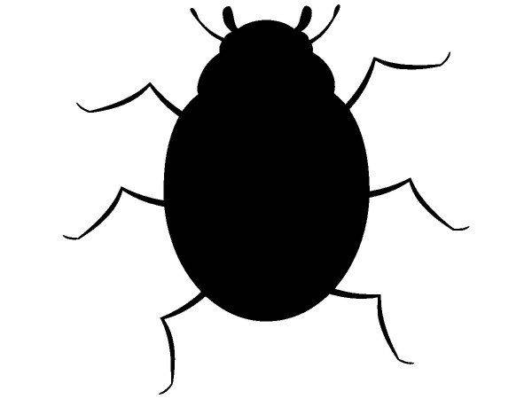 Животные 1263