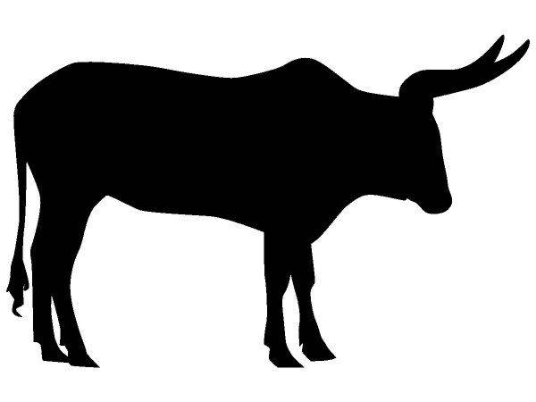 Животные 4241