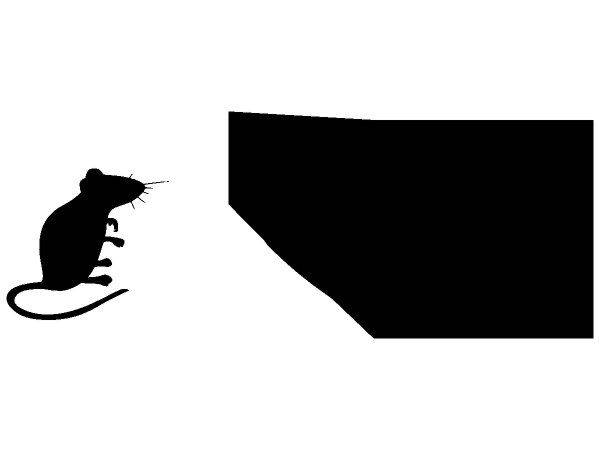 Животные 4159