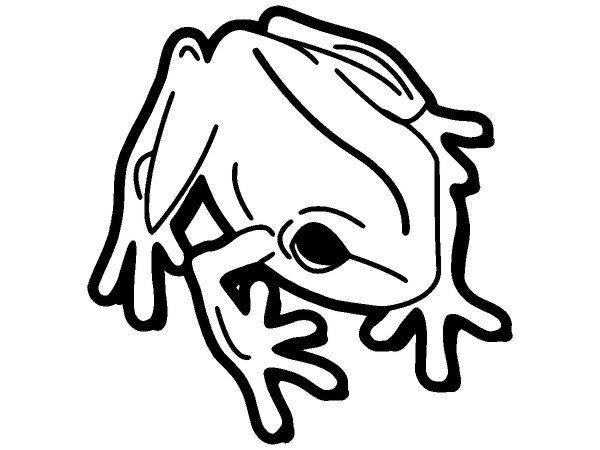 Животные 3108 Животные 3108