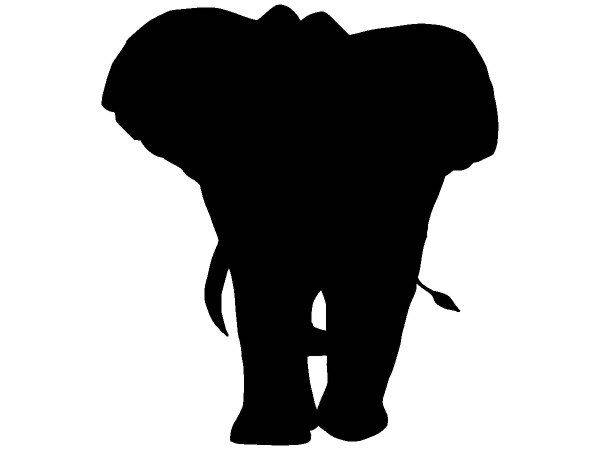 Животные 2487 Животные 2487