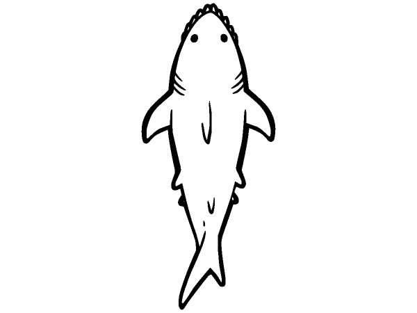 Животные 1148