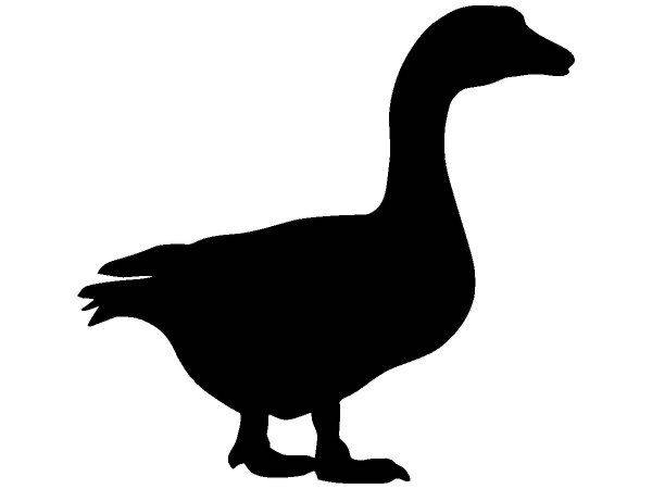 Животные 3596 Животные 3596