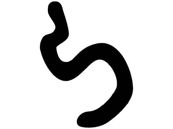 Животные 1288 Животные 1288