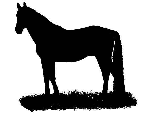 Животные 1200