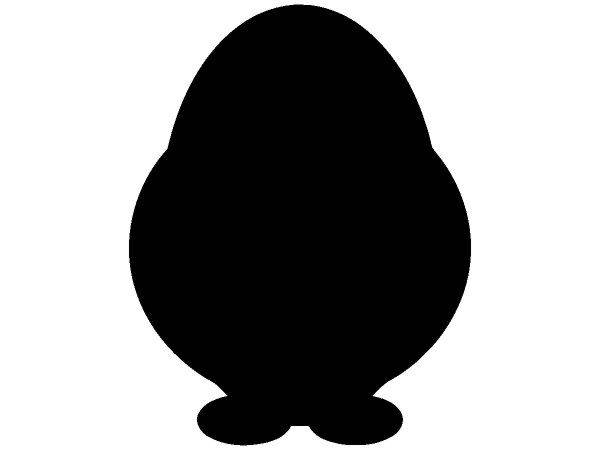 Животные 1562