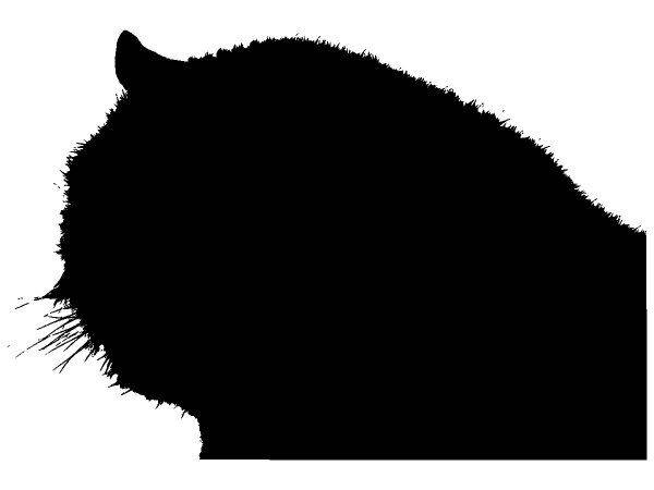 Животные 3251 Животные 3251