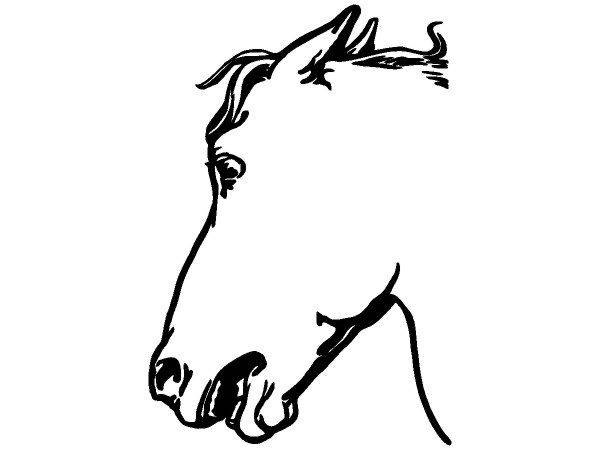 Животные 1290 Животные 1290