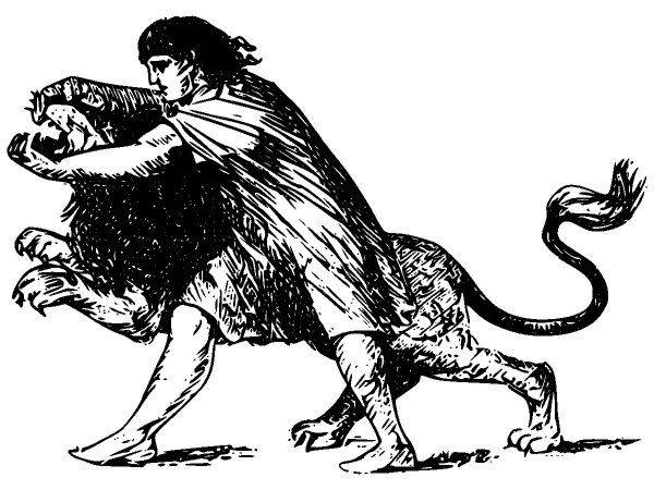 Животные 2627