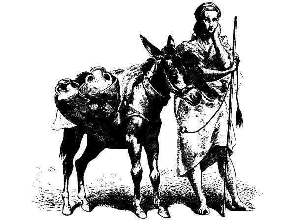 Животные 3890 Животные 3890