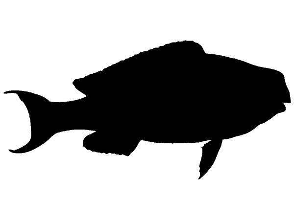 Животные 2903