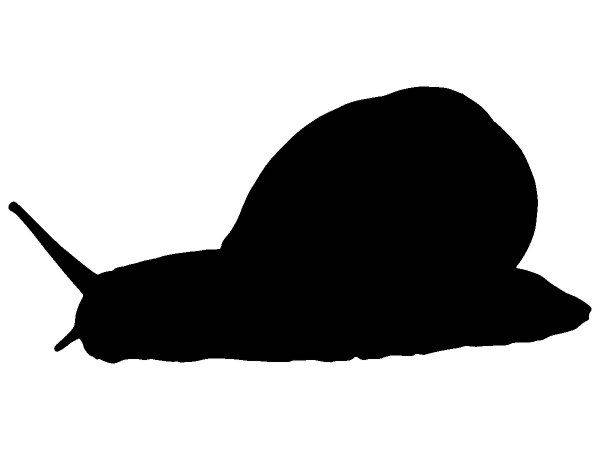 Животные 2105 Животные 2105